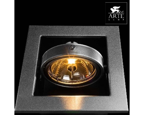Точечный светильник Cardani Medio A5930PL-1SI Arte Lamp Точечный светильник Cardani Medio A5930PL-1SI Arte Lamp