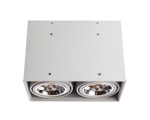 Точечный светильник Cardani Grande A5936PL-2WH Arte Lamp Точечный светильник Cardani Grande A5936PL-2WH Arte Lamp