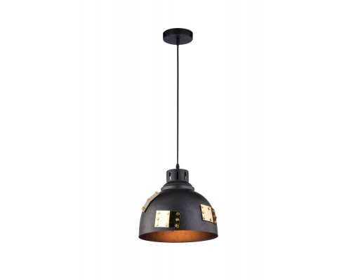 Подвесной светильник Eurica A6024SP-1BK Arte Lamp Подвесной светильник Eurica A6024SP-1BK Arte Lamp