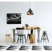 Подвесной светильник Eurica A6024SP-1BK Arte Lamp