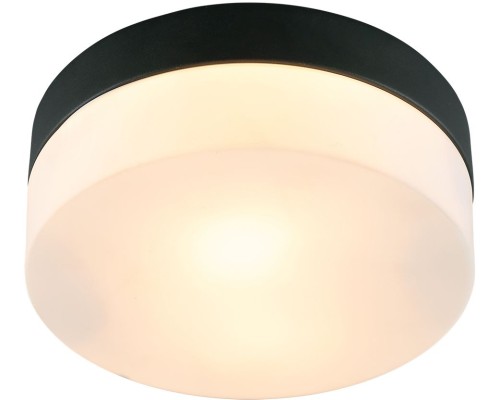 Потолочный светильник Aqua-tablet A6047PL-1BK Arte Lamp Потолочный светильник Aqua-tablet A6047PL-1BK Arte Lamp