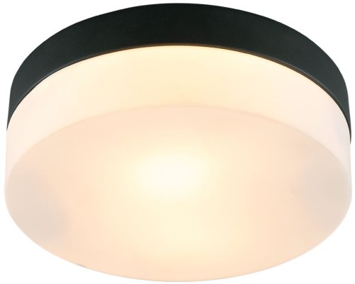 Потолочный светильник Aqua-tablet A6047PL-2BK Arte Lamp Потолочный светильник Aqua-tablet A6047PL-2BK Arte Lamp