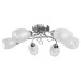 Потолочная люстра Stefania A6055PL-6CC Arte Lamp