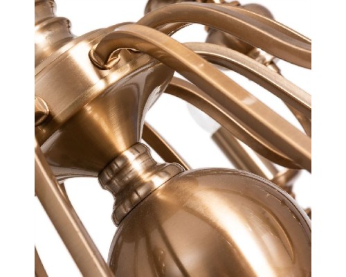 Подвесная люстра Passoni A6097LM-12PB Arte Lamp Подвесная люстра Passoni A6097LM-12PB Arte Lamp