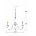 Подвесная люстра Passoni A6097LM-6PB Arte Lamp