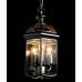 Подвесной светильник Rimini A6505SP-3CC Arte Lamp