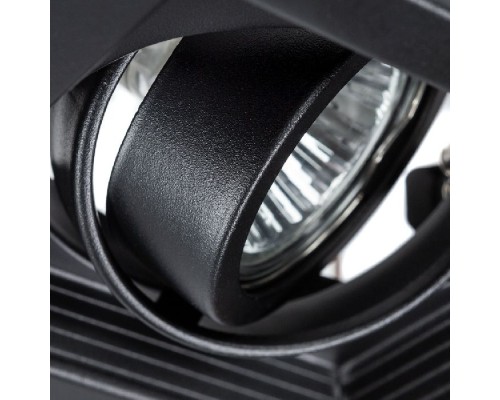 Точечный светильник Canis A6661PL-1BK Arte Lamp Точечный светильник Canis A6661PL-1BK Arte Lamp