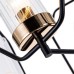Потолочная люстра Celaeno A7004PL-5BK Arte Lamp