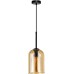 Подвесной светильник Paio A7015SP-1BK Arte Lamp