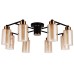Потолочная люстра Leo A7027PL-8BK Arte Lamp