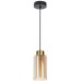 Подвесной светильник Leo A7027SP-1BK Arte Lamp