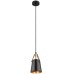 Подвесной светильник Thomas A7032SP-1BK Arte Lamp