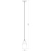 Подвесной светильник Thomas A7032SP-1BK Arte Lamp