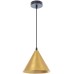 Подвесной светильник David A7033SP-1BK Arte Lamp