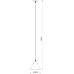 Подвесной светильник David A7033SP-1BK Arte Lamp