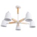 Потолочная люстра Oscar A7141PL-5WH Arte Lamp