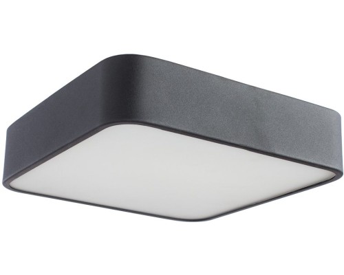 Потолочный светильник Cosmopolitan A7210PL-2BK Arte Lamp Потолочный светильник Cosmopolitan A7210PL-2BK Arte Lamp