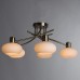 Потолочная люстра Latona A7556PL-5AB Arte Lamp