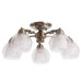 Потолочная люстра Malina A7695PL-5AB Arte Lamp