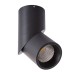 Точечный светильник Meisu A7717PL-1BK Arte Lamp