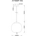 Подвесной светильник Cody A7768SP-1BC Arte Lamp
