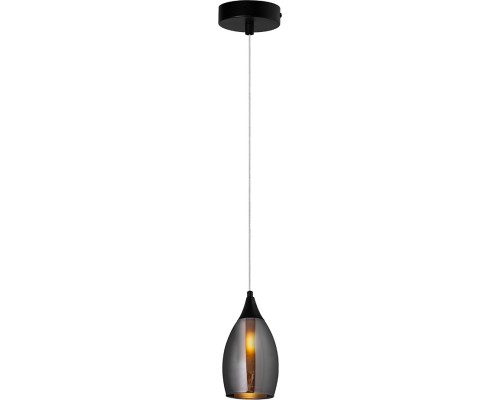 Подвесной светильник Barry A7951SP-1BK Arte Lamp Подвесной светильник Barry A7951SP-1BK Arte Lamp