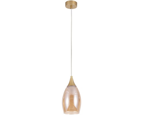 Подвесной светильник Barry A7951SP-1GO Arte Lamp Подвесной светильник Barry A7951SP-1GO Arte Lamp