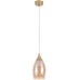 Подвесной светильник Barry A7951SP-1GO Arte Lamp