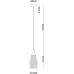 Подвесной светильник Barry A7951SP-1GO Arte Lamp