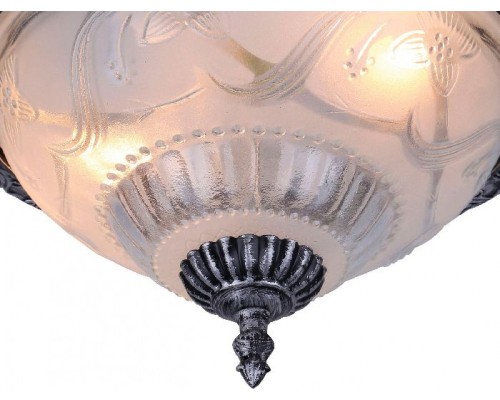 Потолочный светильник Piatti A8001PL-2SB Arte Lamp Потолочный светильник Piatti A8001PL-2SB Arte Lamp