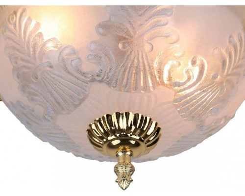 Потолочный светильник Piatti A8002PL-2GO Arte Lamp Потолочный светильник Piatti A8002PL-2GO Arte Lamp