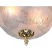 Потолочный светильник Piatti A8002PL-2GO Arte Lamp