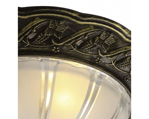 Потолочный светильник Piatti A8003PL-2AB Arte Lamp Потолочный светильник Piatti A8003PL-2AB Arte Lamp