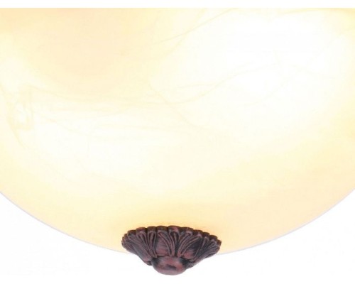 Потолочный светильник Piatti A8007PL-2CK Arte Lamp Потолочный светильник Piatti A8007PL-2CK Arte Lamp