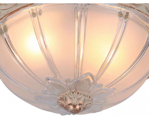 Потолочный светильник Piatti A8014PL-2WA Arte Lamp Потолочный светильник Piatti A8014PL-2WA Arte Lamp