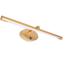 Подсветка для картин Ronnie A8025AP-1GO Arte Lamp