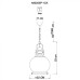 Подвесной светильник Nautilus A8025SP-1CK Arte Lamp