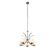 Подвесная люстра Claudia A8055LM-5CC Arte Lamp