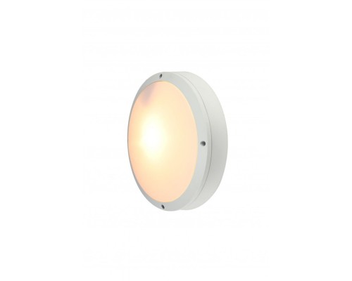 Настенный светильник уличный City A8154PF-2WH Arte Lamp Настенный светильник уличный City A8154PF-2WH Arte Lamp