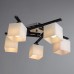 Потолочная люстра Visuale A8165PL-5BK Arte Lamp
