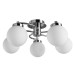 Потолочная люстра Cloud A8170PL-5SS Arte Lamp