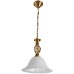 Подвесной светильник Conis A8391SP-1PB Arte Lamp