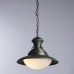 Подвесной светильник Ferrico A9256SP-1BG Arte Lamp