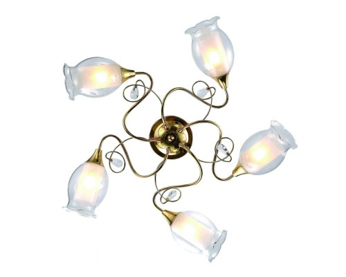 Потолочная люстра Mughetto A9289PL-5GO Arte Lamp Потолочная люстра Mughetto A9289PL-5GO Arte Lamp