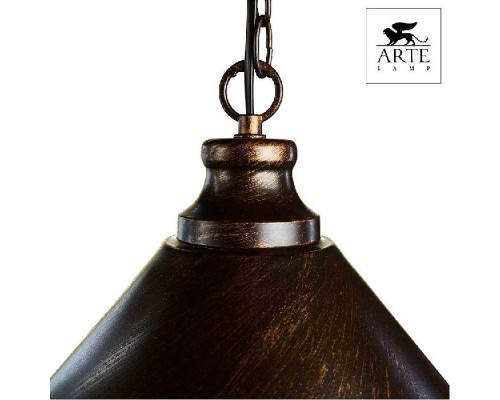Подвесной светильник Bevel A9330SP-1BR Arte Lamp Подвесной светильник Bevel A9330SP-1BR Arte Lamp