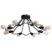 Потолочная люстра Riverrun A9344PL-8BK Arte Lamp