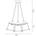 Подвесная люстра Conway A9469SP-5BK Arte Lamp