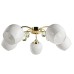 Потолочная люстра Millo A9549PL-5GO Arte Lamp