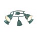 Спот Campana A9557PL-5BG Arte Lamp