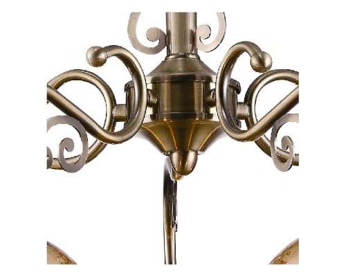 Подвесная люстра Perlina A9560LM-5AB Arte Lamp Подвесная люстра Perlina A9560LM-5AB Arte Lamp